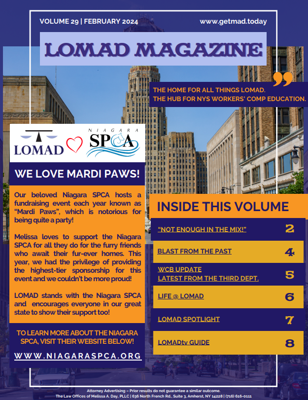 LOMAD Magazine Vol 29